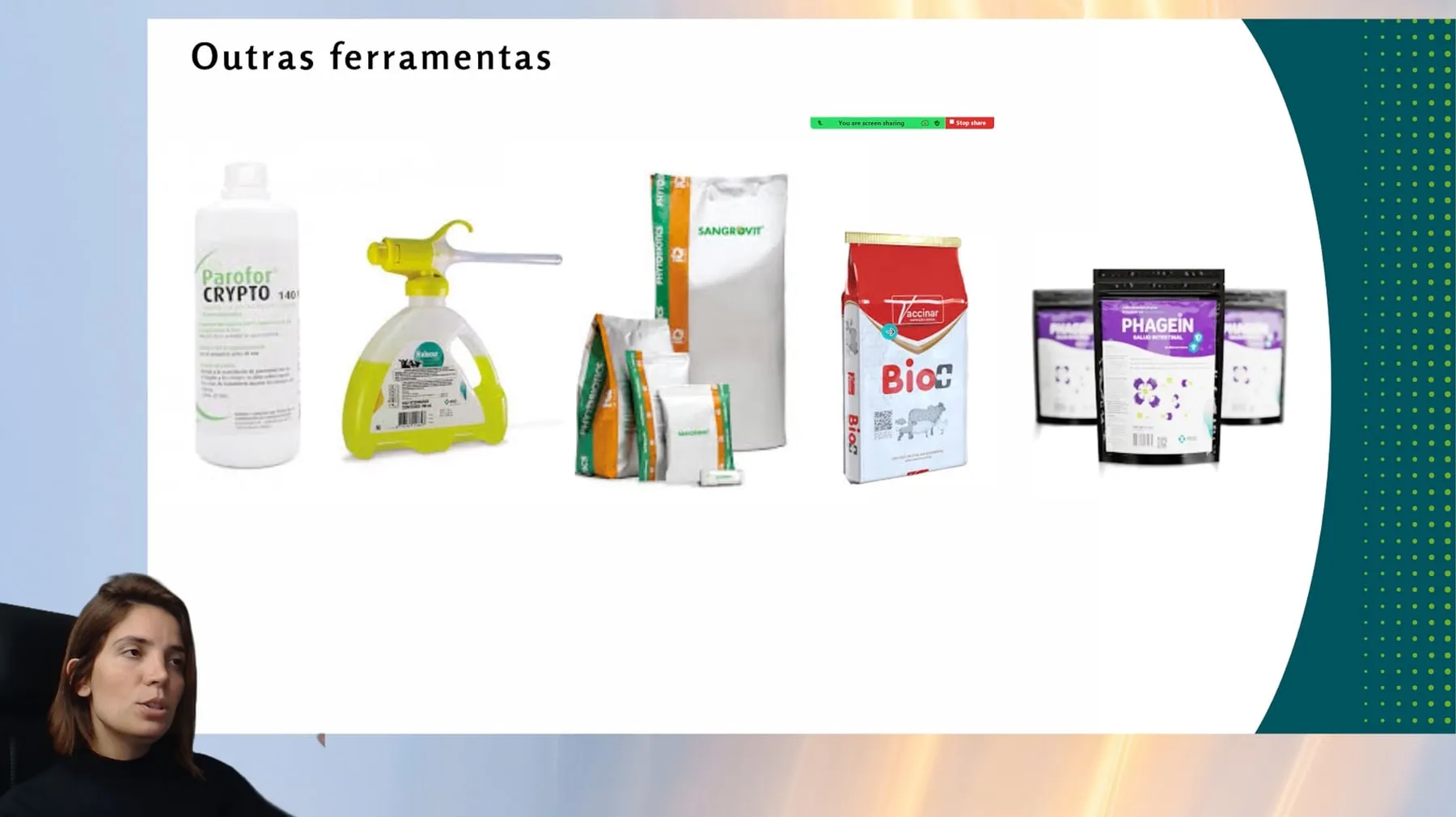 Tela de aula da mentoria, encontro 2