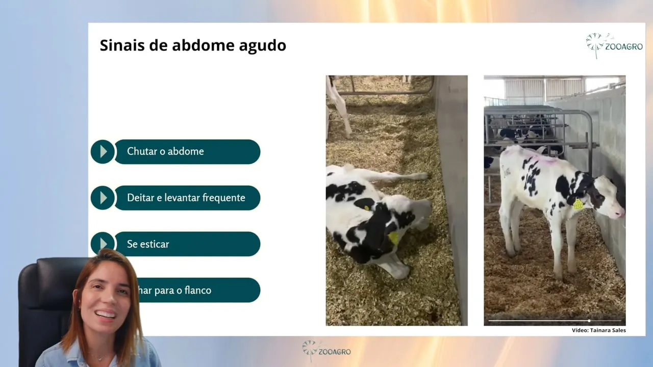 Capa da aula 3: Manifestação clínica da enterotoxemia e síndrome abomasal — casos clínicos, parte 1