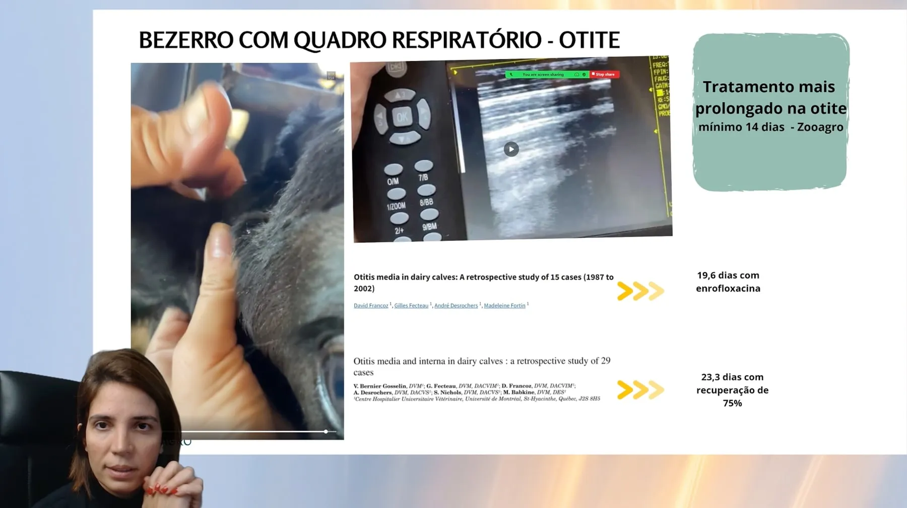 Tela de aula da mentoria, encontro 3