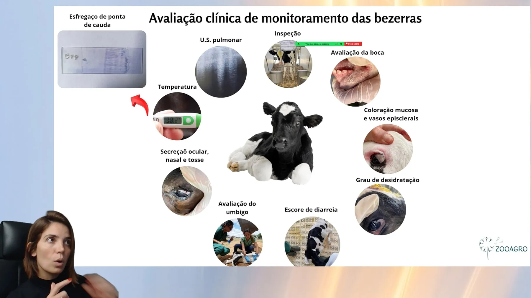Tela de aula da mentoria, encontro 4