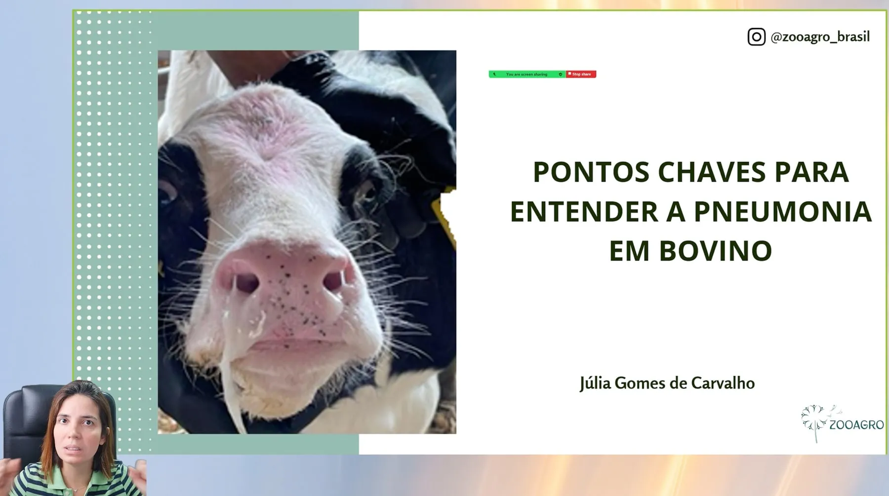 Tela de aula da mentoria, encontro 7