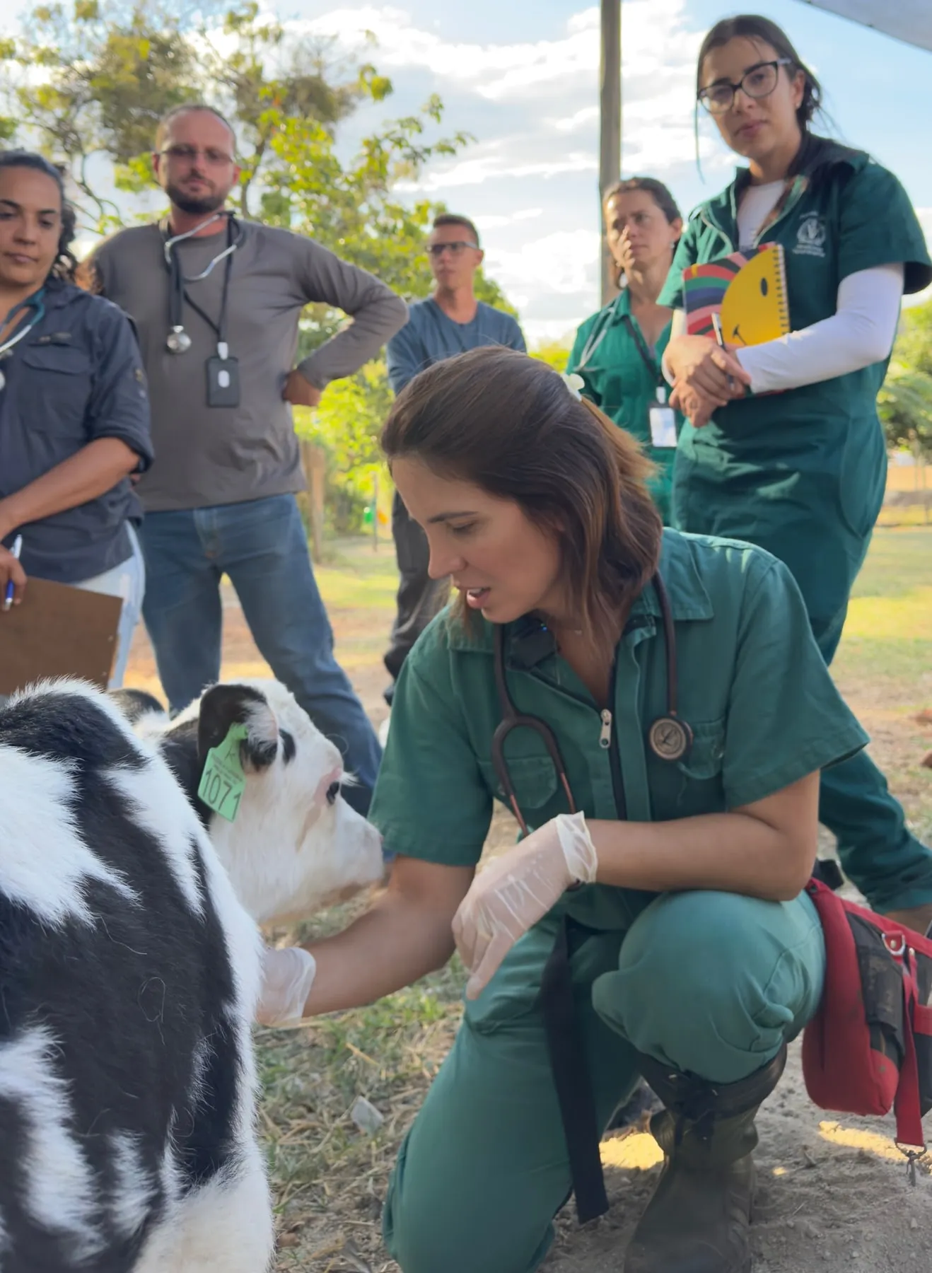 Dra. Júlia e mentorados avaliando animais durante atendimento a campo